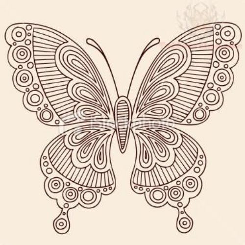 Paisley Butterfly Tattoo Design